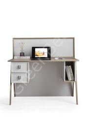 Asil Çalışma Masası